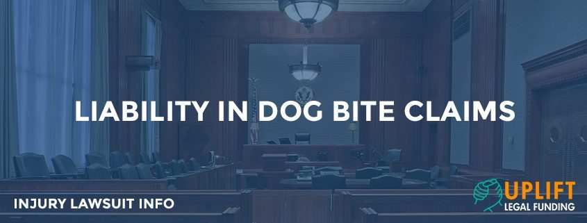 Who is responsible for the attack? The dog? The owner? You?